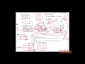 First Aid for the USMLE Step 1, IMMUNOLOGY + 06 = Activation and differentiation of T and B cells