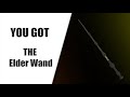 Which Harry Potter Wand Would You Have