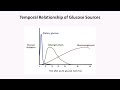 Physiology of Insulin and Glucagon