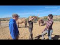 Larry, the mustang: Partnership (Episode 3) When Horses Choose in the USA