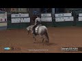 2020 AQHA Amateur Horsemanship