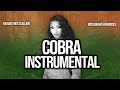 Megan Thee Stallion “Cobra” Instrumental Prod. by Dices