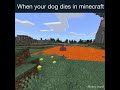 When your dog dies in Minecraft (retry.mp4)