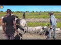 Linh PhiLip Vlogs\\ Kỳ Tích Kỷ Lục Năng Suất Lúa Ở Châu Phi