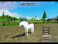 Guys I buyed the… let’s try it out!/roblox:horse world