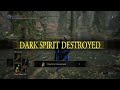 Ds3 lv 50ish blue in the woods lol