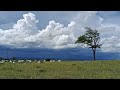 Tempestade de Intensidade Forte na Região de Caruaru Pernambuco