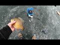 Searching for Big First Ice Panfish on Crystal Clear Ice (Testing Vexilar FL-8SE)