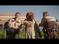 Dakota County Sheriff's Office Dance & Lip Sync Challenge