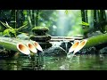 Relaxation Music: soothing water sounds, Full Nature Sound Brain Therapy, Sleep Relaxation, Insomnia