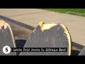 5-Tips for Making Your Skateboard Deck Last Longer | Tactics