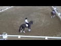 Dressage V Reining