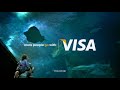 Visa go. | Aquarium