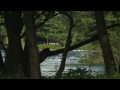 NEISTRAŽENO: Rafting kroz ljepote prirode na rijeci Uni