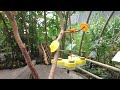 Tropical Islands Rain Forest Tour - Part 3