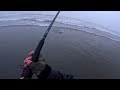 Surf Perch fishing in Ocean Shores WA