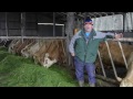 Zero Grazing  - is it the way Forward for Finishing Cattle?