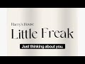 A cover of Little Freak by Harry Styles