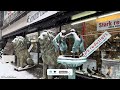 [-3ºC] Heavy Snow Walking Tour Cologne Germany 🇩🇪 Snowfall Walk 4k [With Captions]