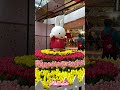 Wow!! Assorted Beautiful Flowers/Fresh and Ornaments flowers and Plants/ATEBEBS Tv