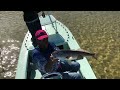 Tampa Bay redfish on fly