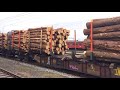 Hectorrail Br 941-001-0  Morricone with timbertrain to Vestmo