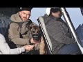This Belgian Malinois Is Trained To A Military Standard | BIG DOGZ