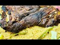 मटन रान रोस्ट रेसिपी|Mutton Raan (Leg) Roast Recipe|Mutton Raan Roast With Yakhni Pulao|QalbKitchen