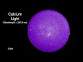 Total Solar Eclipse 2024 | Full-Spectrum Science | Exploratorium