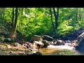 Peaceful River Flowing Sound | Relaxing Nature Sounds | Gentle River | White Noise for Sleep | Study