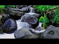 Relaxing River Sounds For Immediate Sleep In A Peaceful Forest