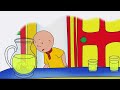 Learning How To Whistle | Caillou Compilations