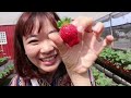 👅Would you eat this? Strawberry Picking - Fruit Challenge