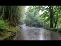 Best rain sounds for relaxation and deep sleep - Beautiful scenery to beat insomnia, relax, study