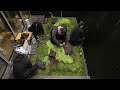 나만을 위한 선큰 이끼 정원 만들기 Create a Sunken Moss Garden Just for You