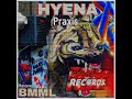 Praxis by Hyena