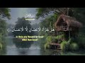 🔴TRY LISTEN FIRST, MOST BEAUTIFUL QURAN SURAH RAHMAN RECITATION WITH ENGLISH TRANSLATION
