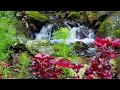 Calming natural atmosphere, great natural sounds for meditation, relaxation, sleeping, studying