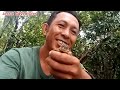 TRAP NANG ISDA GINAWANG TRAP NANG PUGO.. (FISH TRAP)|QUAIL TRAP|