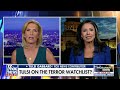 Tulsi Gabbard: This is an 'act of political retaliation'