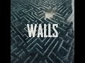 Walls • Cryptic Wisdom