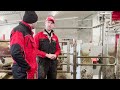 Lely Discovery Collector i fjøset hos Ida og Raymond