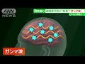 3人に1人が“認知症”の予測　広がる“予防”将来の発症左右するMCIとは？【サンデーLIVE!!】(2024年6月16日)