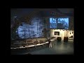 The Hunt for Whales, presented at the Nantucket Whaling Museum