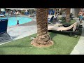 Hyatt Regency Indian Wells Resort and Spa Palm Springs CA tour of massive NEW Resort POOL!