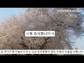 다이소의 고급스러운 정리 꿀템/ 다이소의 신상품 실리콘 정리 꿀템/다이소로 꾸미는 욕실 꿀템