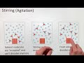 Rate of Dissolving and Factors that Affect It