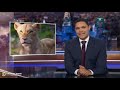Eye on Australia: Animals, Ronny Chieng, and Mandatory Voting | The Daily Show