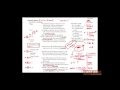 First Aid for the USMLE Step 1, IMMUNOLOGY + 10 = Cytokines (Interleukins & Tumor Necrosis Factor)