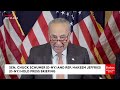 Chuck Schumer Emphatically Endorses VP Harris, Says Dems Are 'Stronger And More United Than Ever'